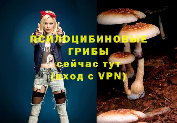 мескалин Алексеевка