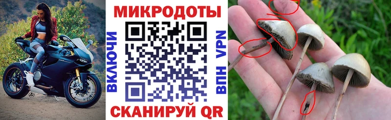 гидра ONION  купить наркоту  Кизел  Галлюциногенные грибы MAGIC MUSHROOMS 